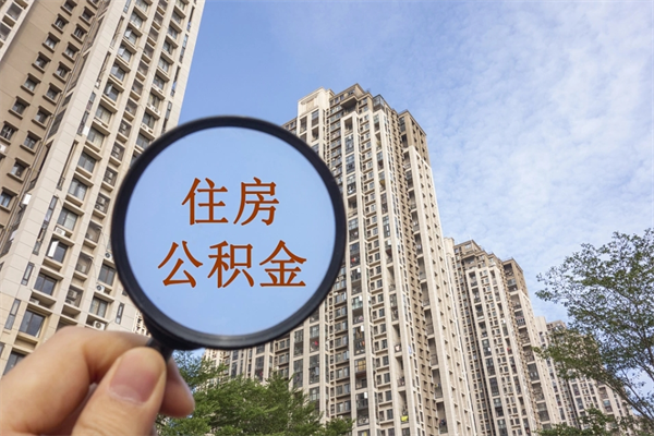 博罗离职多久可以取住房公积金(离职多久后能取公积金) 博罗离职多久可以取住房公积金(离职多久后能取公积金)